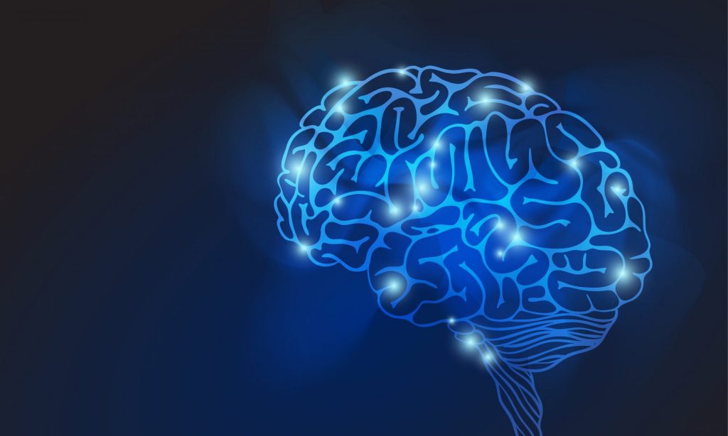 Miniature Brain Machinery – Understanding the Brain: Training the Next ...