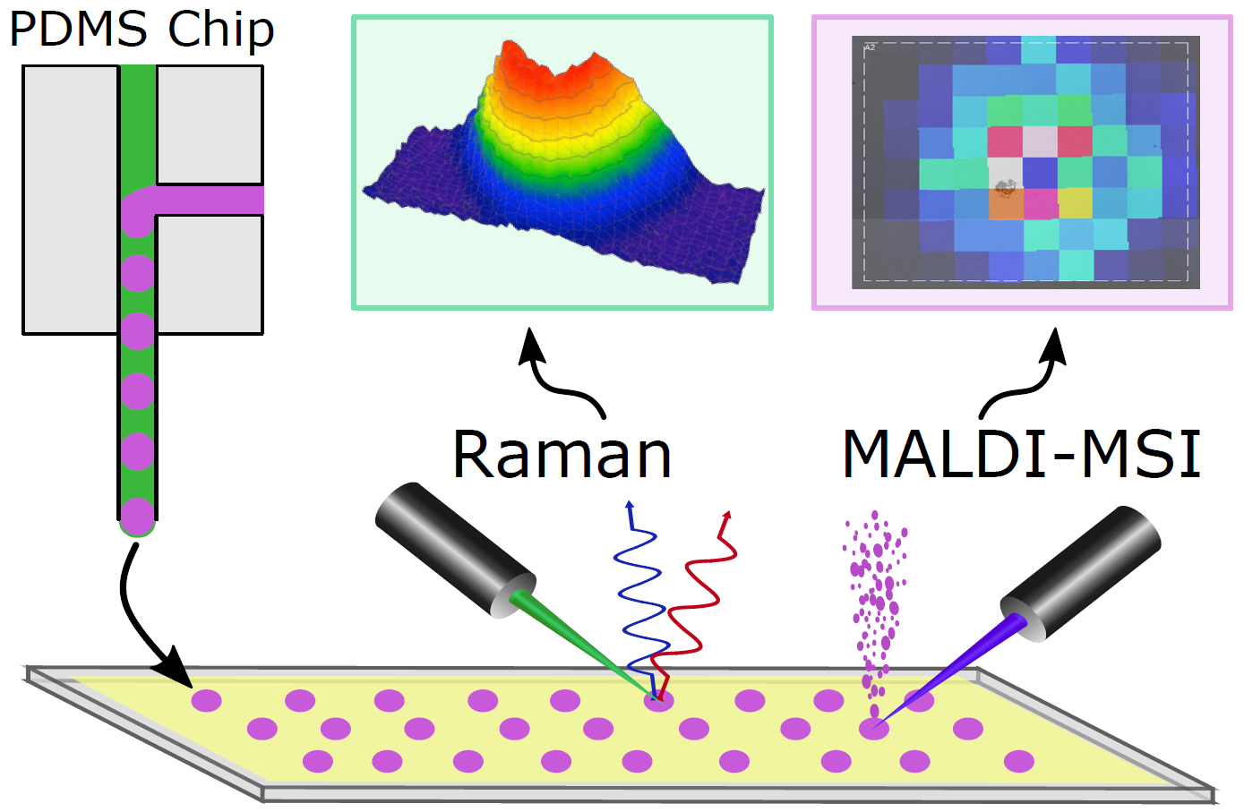 Abstract image from "Droplet Microfluidics with MALDI-MS Detection: The Effects of Oil Phases in GABA Analysis" in ACS Measurement Science Au in August 2021. https://pubs.acs.org/doi/full/10.1021/acsmeasuresciau.1c00017